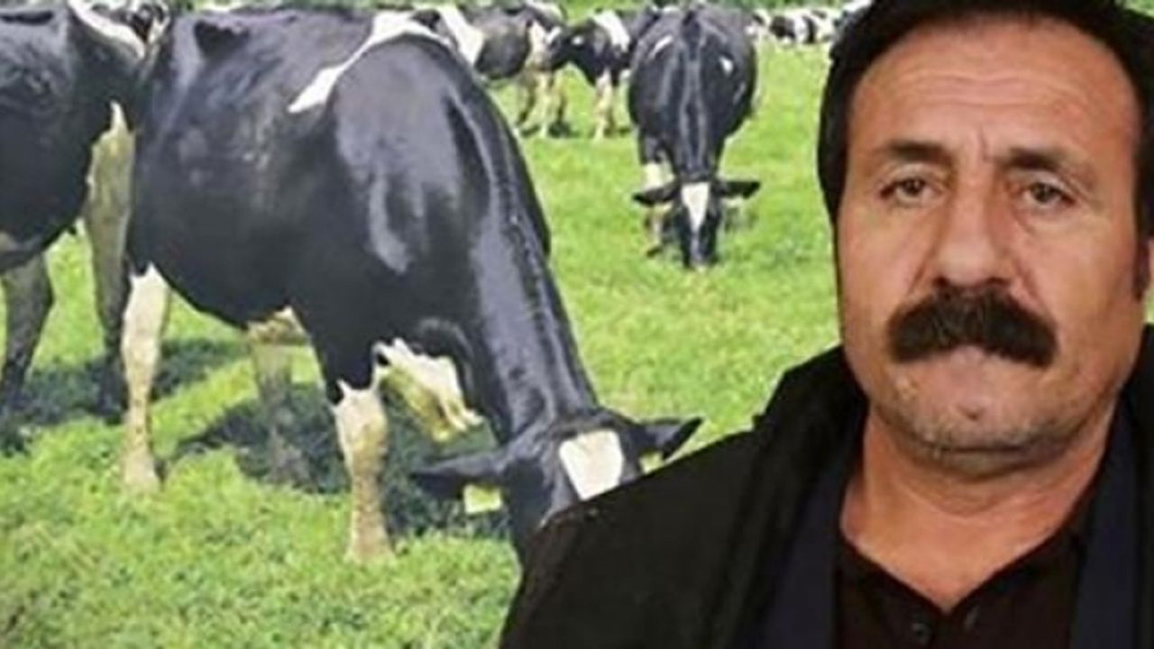 KHK ile ihraç edildi, şimdi de 'ineklerine kayyum atandı'