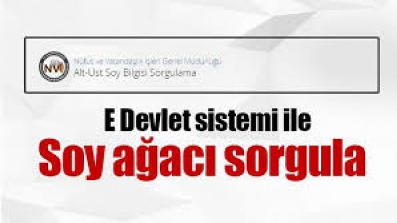 e-Devlet soy ağacı alt üst soy sorgulama Nüfus ve Vatandaşlık İşleri Genel Müdürlüğü sayfası