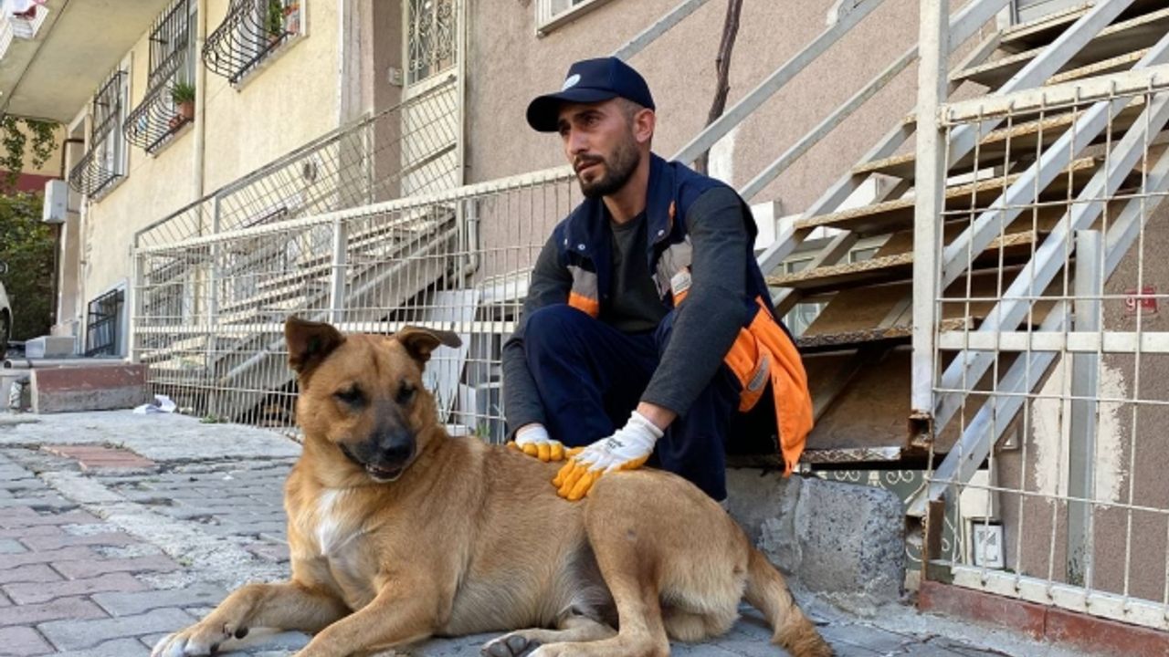 Sokak Köpeği İle Temizlik Görevlisinin Yürekleri Isıtan Dostluğu