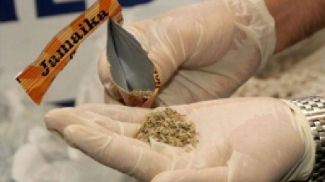 Bonzai ölüm tribi alanın 5 yıl ömrü kalıyor