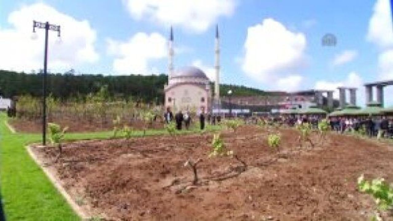 İstanbul'un En Büyük "Meyve Bahçesi" Beykoz'da Açıldı