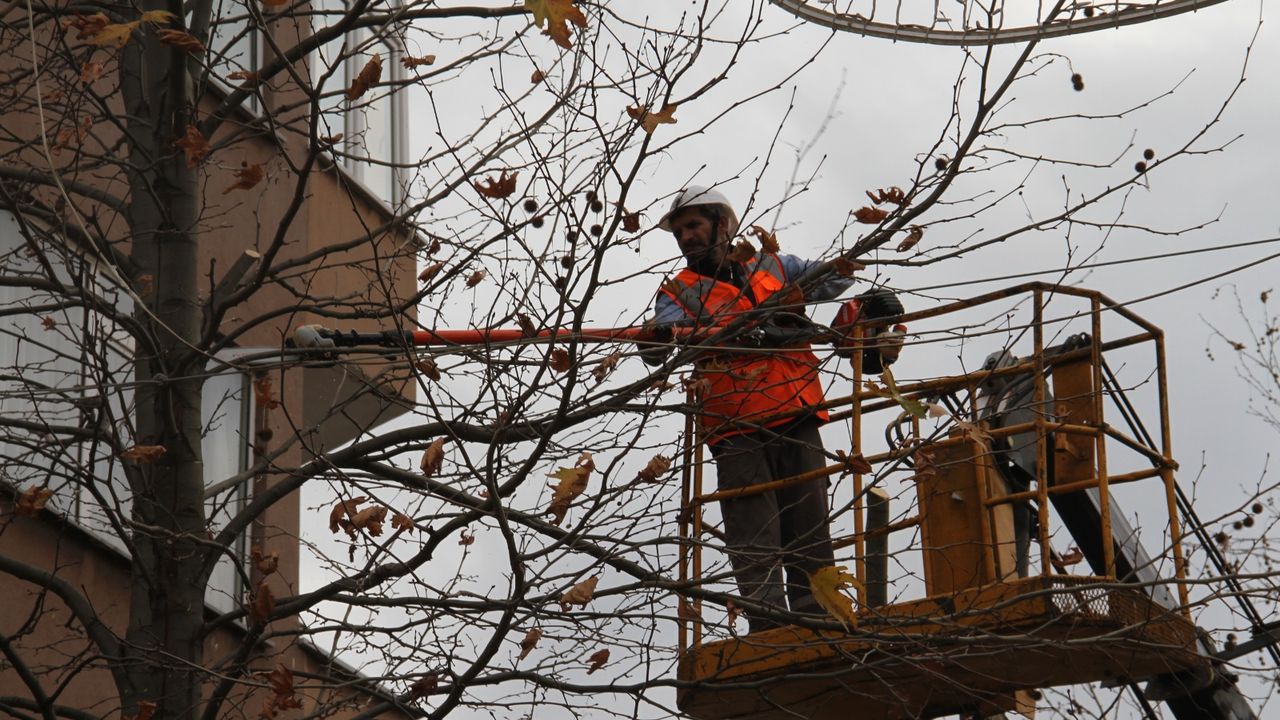Kartal’da Budanan Ağaçlar İhtiyaç Sahiplerine Yakacak Olarak Geri Dönüyor