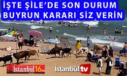 Şile’de Atların Ardından Büyükbaş ve Küçükbaş Hayvanlar Vatandaşların Arasında Cirit Attıkları Görüntülere Yansıdı..