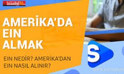 EIN Numarası Nedir ve Nasıl Alınır?