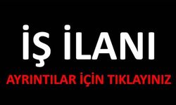 İstanbul İş İlanlarında Neler Var ?