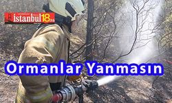 Orman Yangınları İstanbul'a da Sıçradı, İstanbul İtfaiyesi Canla Başla Çalıştı Kısmen Kontrol Altına Aldı