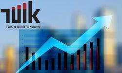 Yurt İçi Üretici Fiyat Endeksi, Temmuz 2025