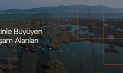 Yaşam Alanlarını Değere Dönüştüren Gayrimenkul Vizyonu