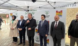 Zeytinburnu'nun Çınarları Toprak İle Buluştu