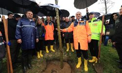 Milli Ağaçlandırma Gününde Tutuklu Belediye Başkanları Ve Bürokratlar İçin Ağaç Dikildi