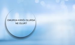 Omurga Kırığı Olursa Ne Olur? Belirtiler ve İlk Etkiler