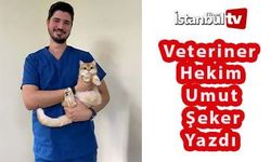 Sizden Gelenler - Veteriner Hekim Umut Şeker