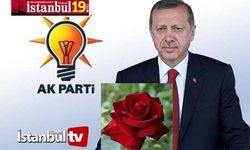 AK PARTİ Dikensiz Gül Bahçesi mi İstiyor ?