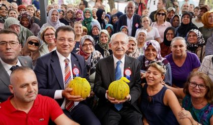 İBB’ Den Çiftçiye 25 Milyon Liralık Buğday Tohumu, 4 Milyon TL’Lik Mazot  Desteği