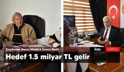 KKTC bütçesine narenciyeden 1.5 milyar TL gelir hedefleniyor