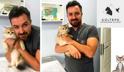 Kağıthane'nin En Kapsamlı Veteriner Kliniği 10.Yaşını Kutluyor!