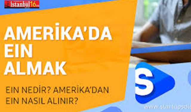 EIN Numarası Nedir ve Nasıl Alınır?