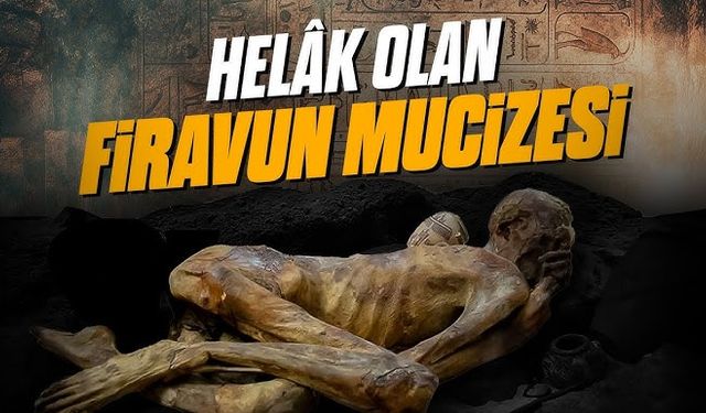 Firavun Hep Acı Yaşatmıştı Ta Ki Musa Sakalını Çekene Kadar