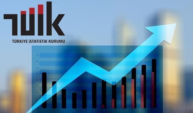 Yurt İçi Üretici Fiyat Endeksi, Temmuz 2025