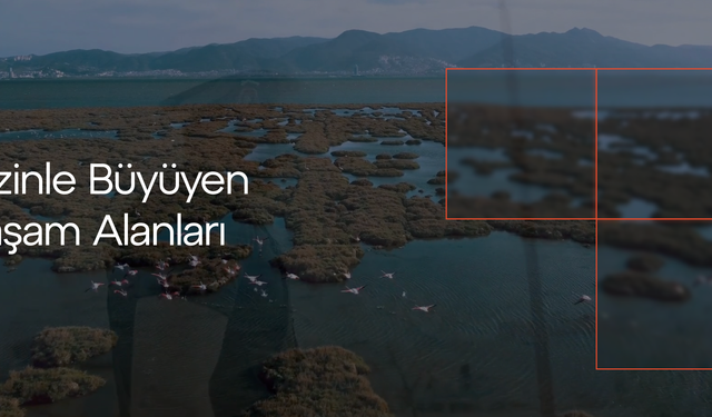 Yaşam Alanlarını Değere Dönüştüren Gayrimenkul Vizyonu