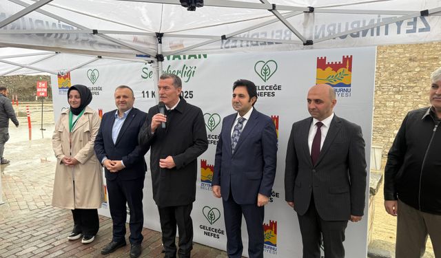 Zeytinburnu'nun Çınarları Toprak İle Buluştu