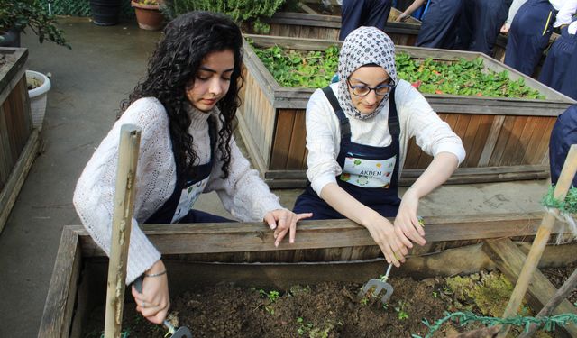 AKDEM Üyeleri 3 Aralık’ta Fide Dikimi Yaparak Doğayla Temas Etti