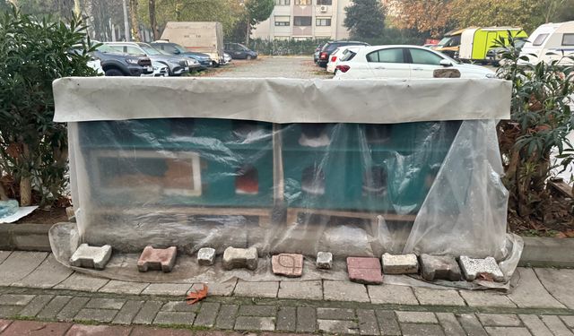 Aşırı Havyan Sevgisi Tehlikeli Boyutlara Ulaştı