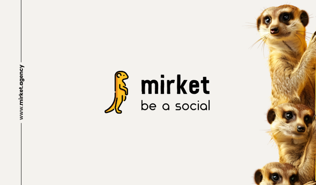 Sosyal Medyada Büyümenin Anahtarı: Mirket Agency