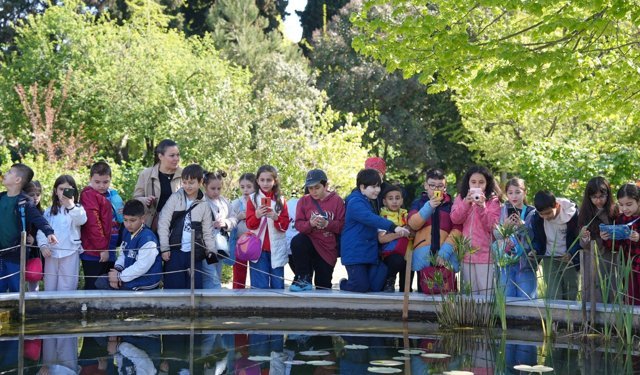 Uluslararası Gönüllülerden Zeytinburnu Tıbbi Bitkiler Bahçesinde Renkli Atölye Çalışmaları