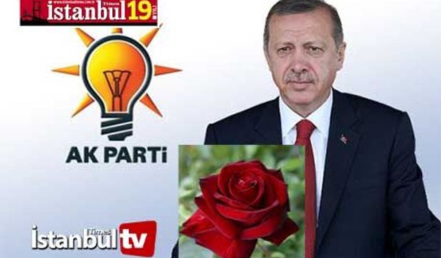 AK PARTİ Dikensiz Gül Bahçesi mi İstiyor ?