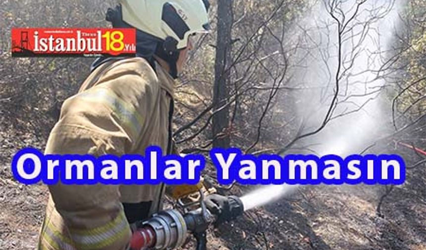Orman Yangınları İstanbul'a da Sıçradı, İstanbul İtfaiyesi Canla Başla Çalıştı Kısmen Kontrol Altına Aldı