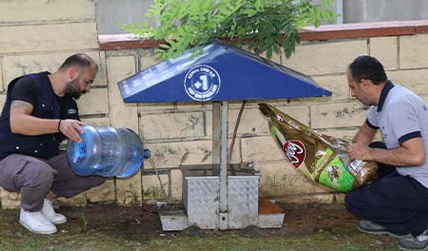 Küçükçekmece Belediyesi'nden Sokak Hayvanları İçin Mama Ve Su Desteği