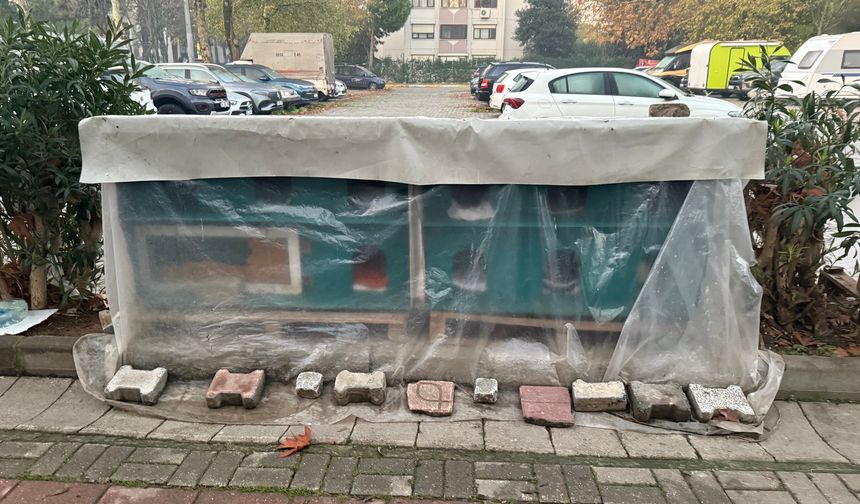 Aşırı Havyan Sevgisi Tehlikeli Boyutlara Ulaştı