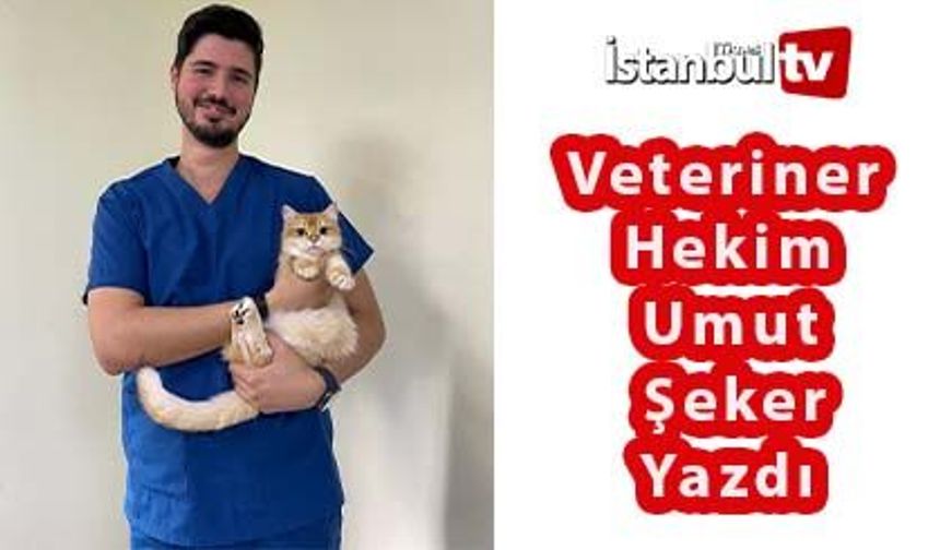 Sizden Gelenler - Veteriner Hekim Umut Şeker